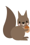 Ekorre