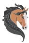 Häst