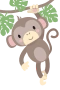 Apa