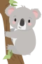 Koala i träd