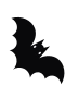 Fladdermus