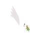 Duva