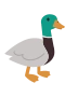 Gräsand