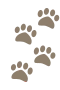 Hundspår