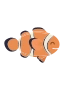 Clownfisk