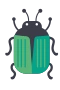 Skalbagge