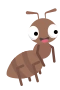 Myra