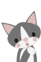 Grå katt