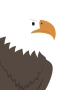 Örn