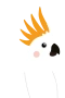 Kakadua