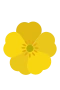 Smörblomma