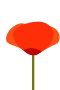 Vallmo
