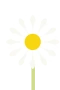 Prästkrage