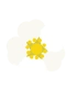 Jorgubbsblomma