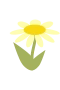 Gul blomma