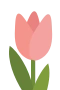 Rosa tulpan
