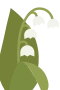 Liljekonvalj