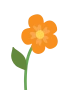 Orange blomma