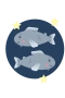 Fiskarna