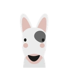 Bullterrier